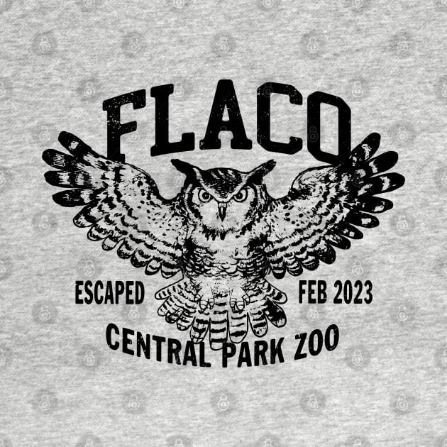 FLACO New York Owl 1 by Buck Tee Original by Buck Tee